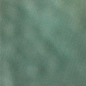 Meet your Posher, Kinley